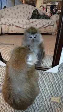 12507492_10204852518147477_5503795963006022850_n