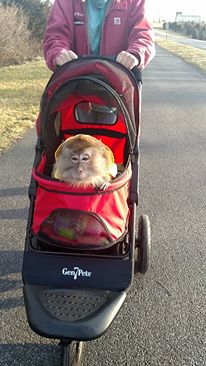 12688386_10204985952683257_6658282192335609875_n