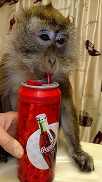 12733364_10204985954603305_9109821513307890311_n