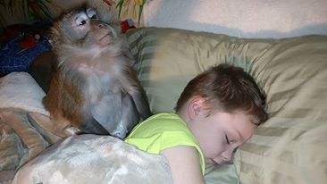 12743692_10204985950843211_6277022235367853678_n