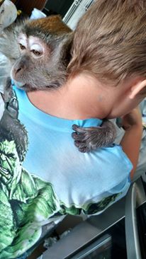 12936700_10205354200569224_5061157045278417952_n