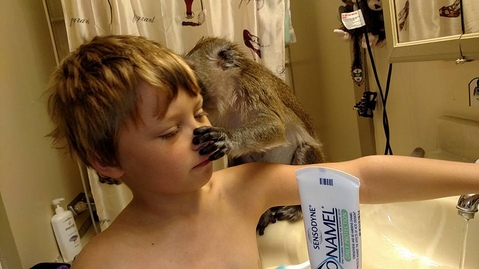 13095843_10205489255785520_5482139856968653232_n