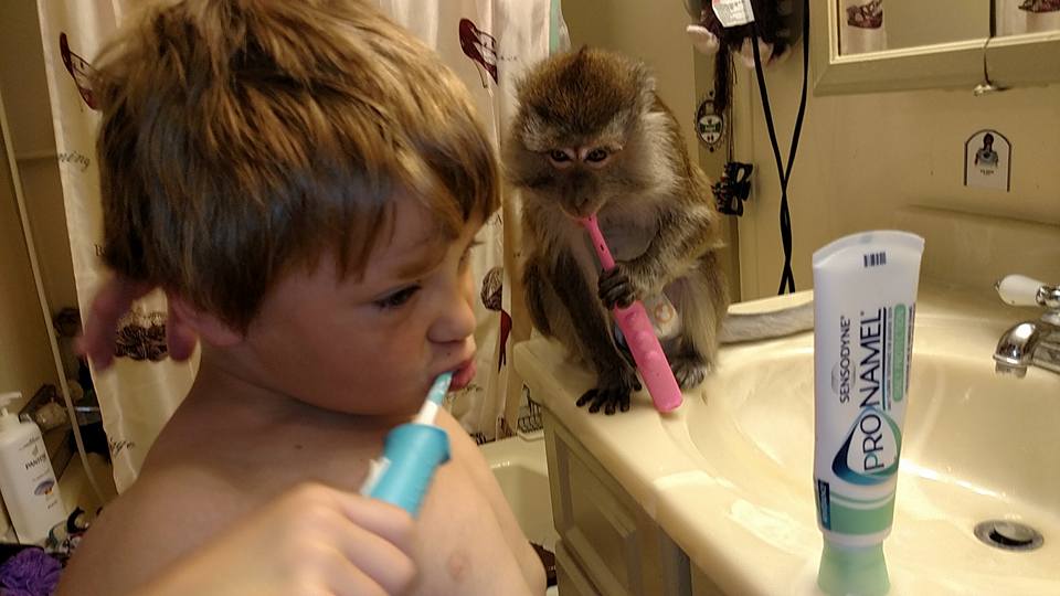 13102625_10205489252825446_6011684594303893823_n