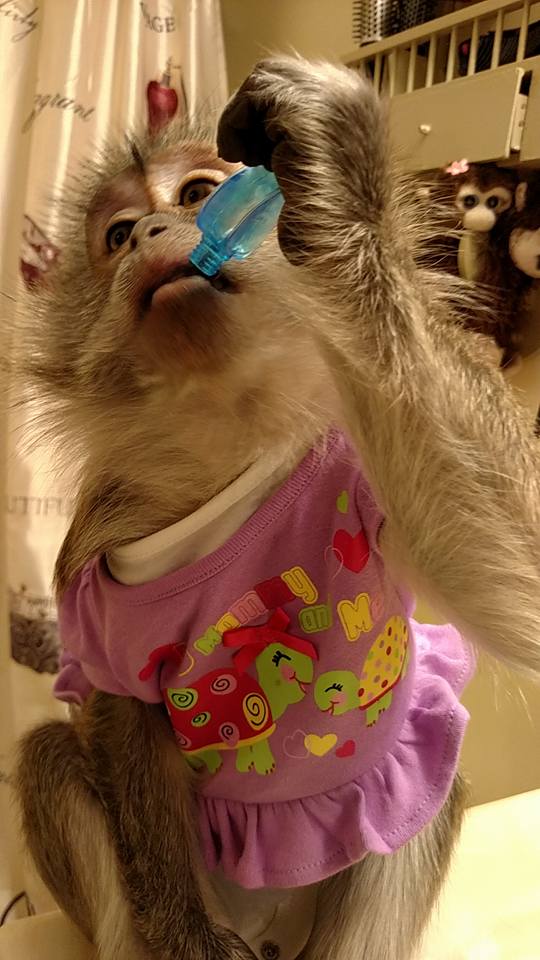 13178057_10205489253065452_5227426109207811515_n