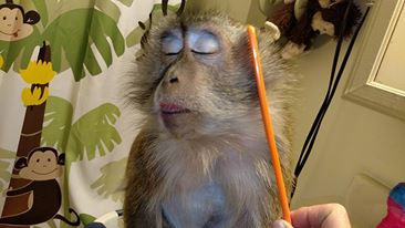 13244702_10205566357313010_1207092658903051897_n