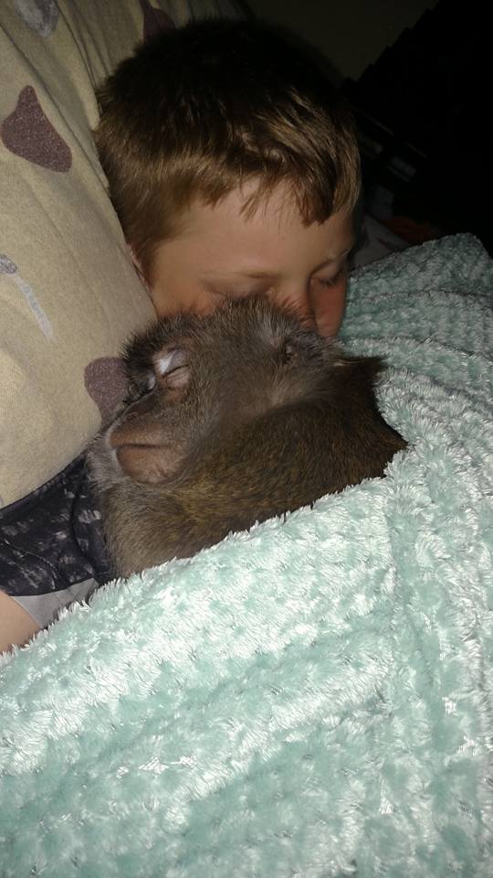 13346446_10205642437934978_2372265405359198074_n