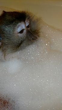 1618510_10204828166938712_5785930757270117114_n