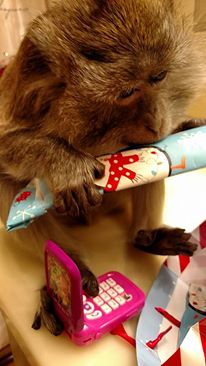 1964995_10204728624210206_8913878200836309186_n