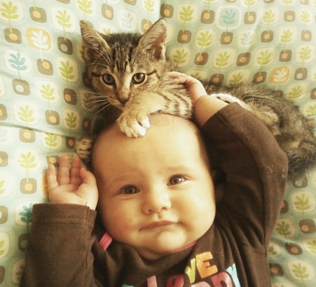 2162405-kids-with-cats-71__605-1-650-1464356718