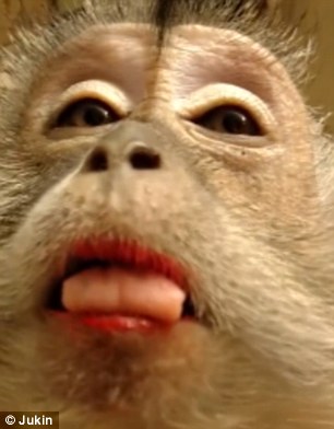 27DA18B200000578-3050362-image-a-39_1429698601882