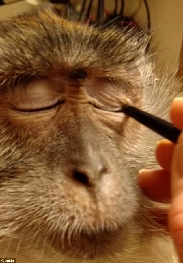 27DA18D800000578-3050362-image-m-28_1429698523072