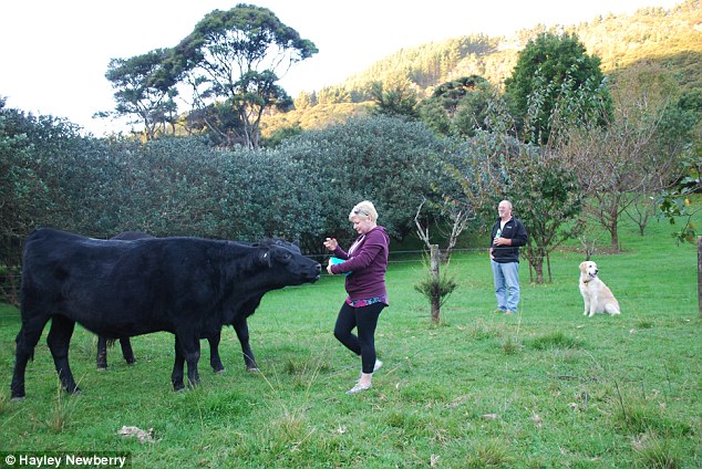 35B7CA2500000578-3657585-image-a-40_1467025597309