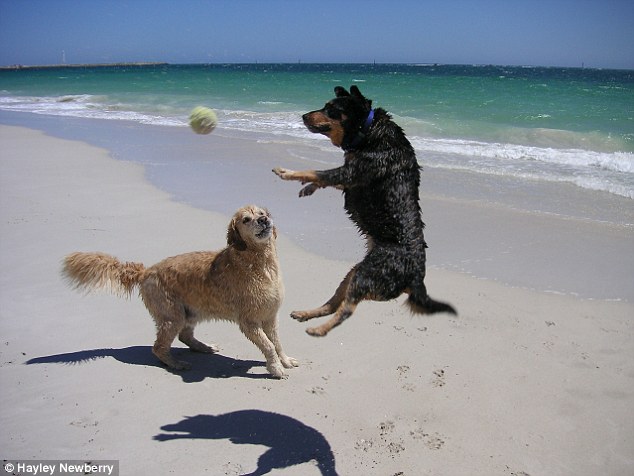 35B7CA6500000578-3657585-image-a-44_1467025652182