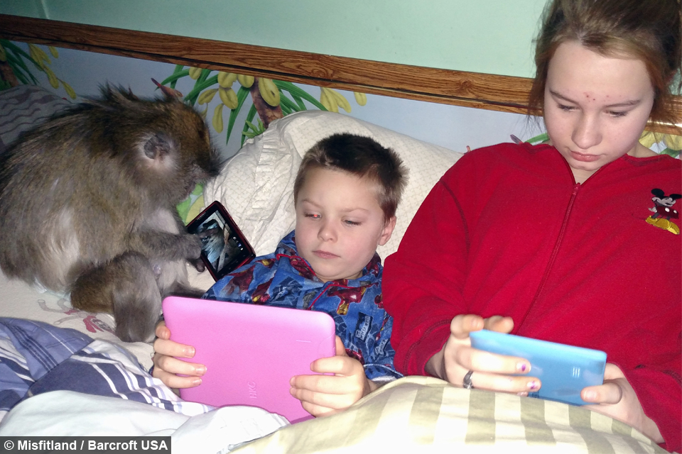 44166b58-325a-4bfc-b581-631306cc107f