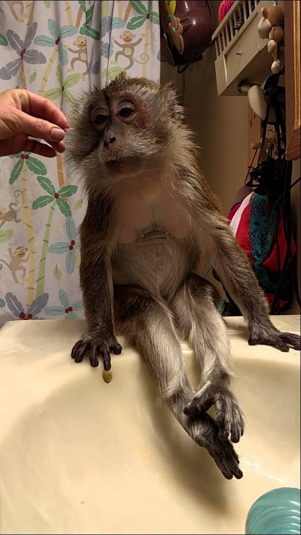 a06aa4f03ab6ada81557c9802c606575