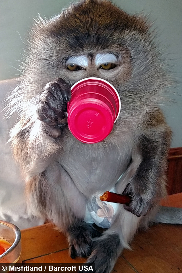 b1a319fa-a7b8-416d-83a6-4c1f281baa2a