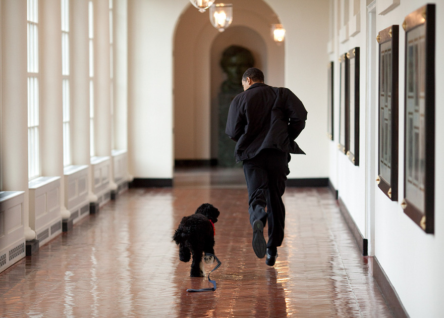 barack-obama-photographer-pete-souza-white-house-41-5763e3b5a6af1__880