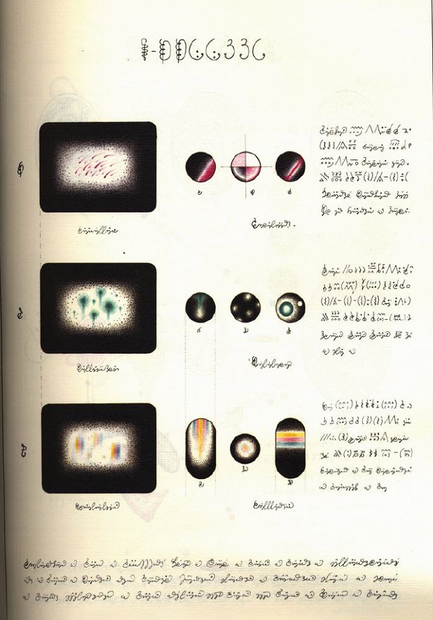 codex-seraphinianus-bacteria