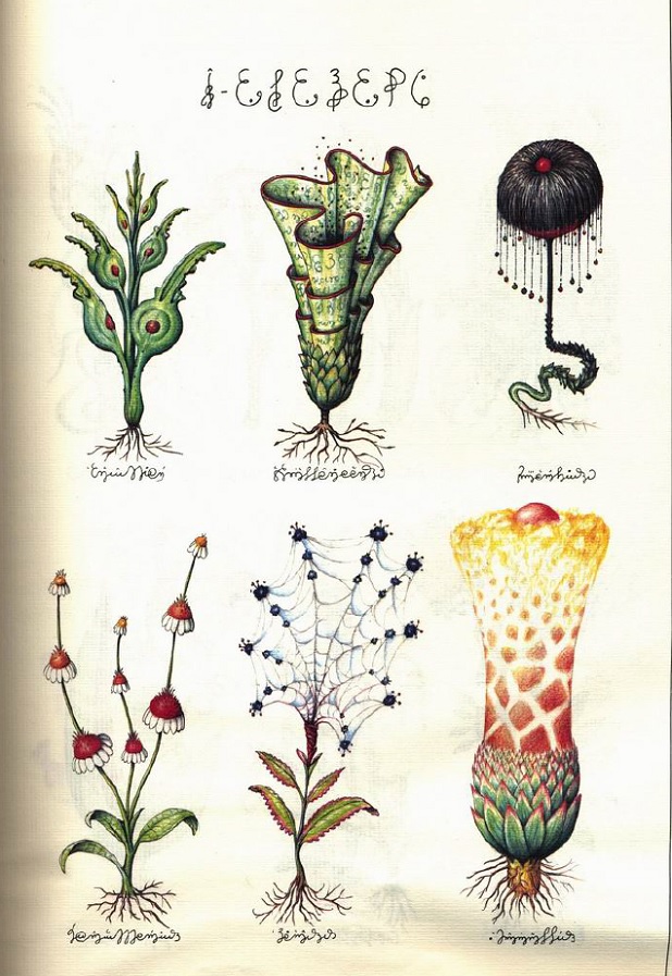 codex-seraphinianus-botanical
