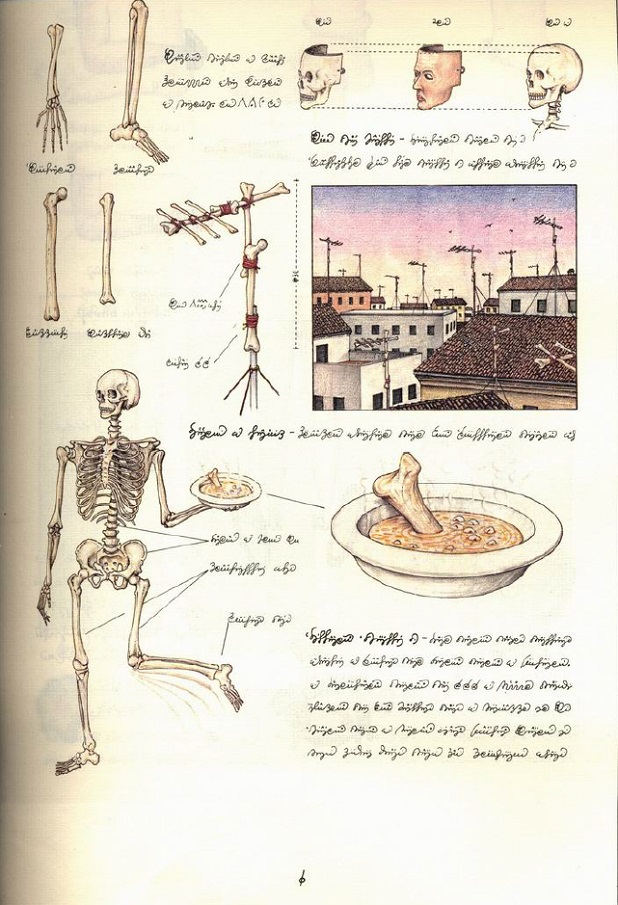 codex-seraphinianus-skeleton