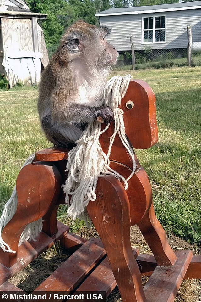 e672f92d-9c1d-4cb0-b0de-81caf2a1a259