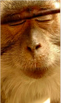 屏幕快照 2016-06-27 下午3.58.27