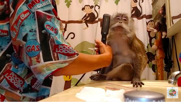 屏幕快照 2016-06-27 下午4.21.31