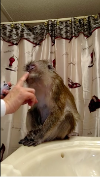 屏幕快照 2016-06-27 下午4.26.06