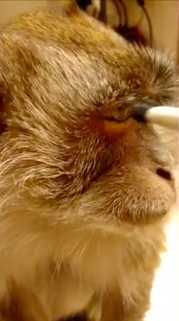 屏幕快照 2016-06-27 下午4.58.38