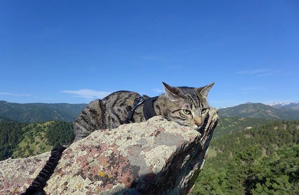 屏幕快照 2016-07-24 下午10.34.55