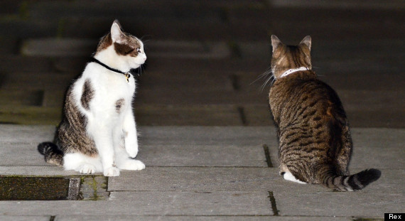 Cabinet Meeting in Downing Street, London, Britain - 16 Oct 2012