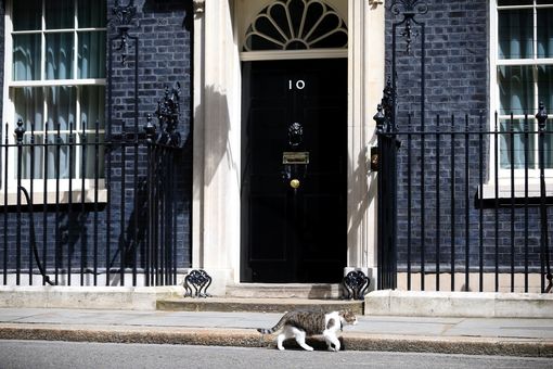Larry-the-Cat-at-Downing-Street