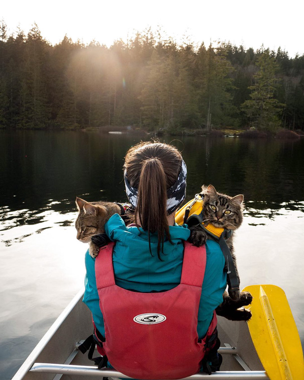 camping-with-cats-ryan-carter-13-5792011456140__605