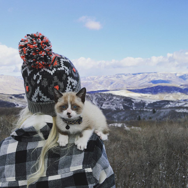 camping-with-cats-ryan-carter-44-5792016b0458a__605