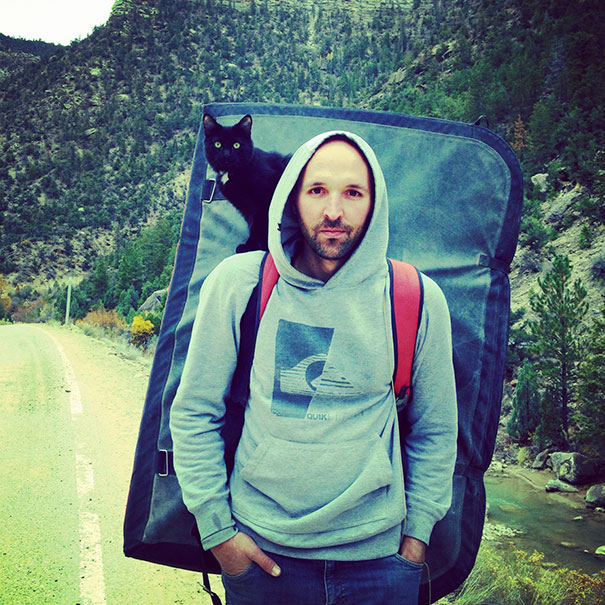 camping-with-cats-ryan-carter-60-579219b005820__605