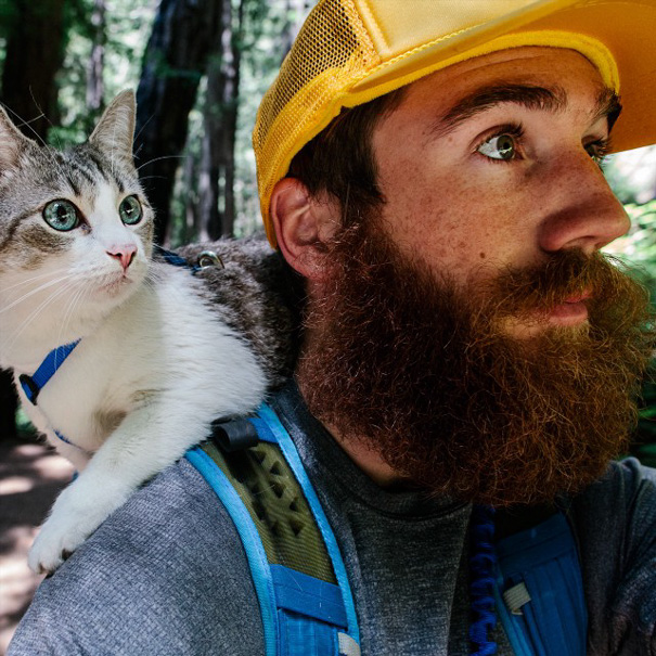 camping-with-cats-ryan-carter-64-57921d00a4c4b__605