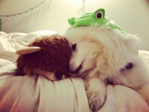 屏幕快照 2016-08-26 下午4.02.27