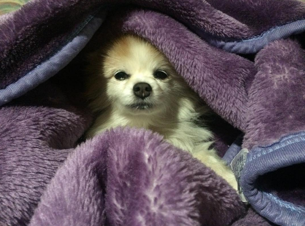 屏幕快照 2016-08-26 下午4.05.45