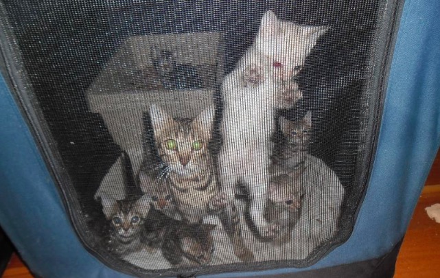 屏幕快照 2016-08-28 下午9.33.10