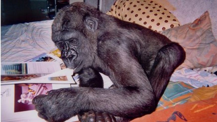 _57526649_digitreading