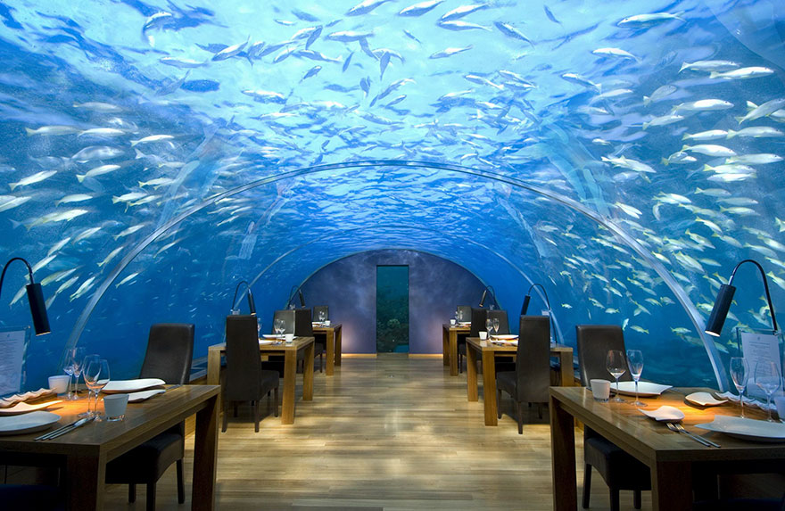 worlds-most-amazing-restaurants-unique-dining-experiences-4-57e51f07a7707__880