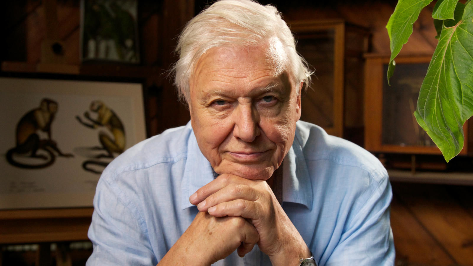 david-attenborough-birthday