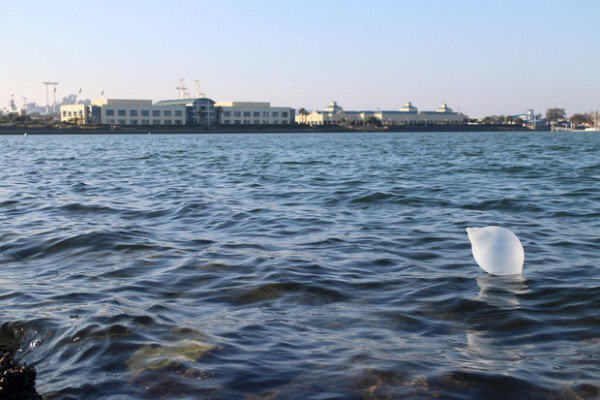 fishing-with-condoms-600x400