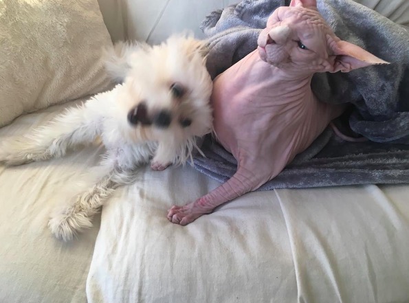 %e5%b1%8f%e5%b9%95%e5%bf%ab%e7%85%a7-2016-11-10-%e4%b8%8b%e5%8d%886-11-22