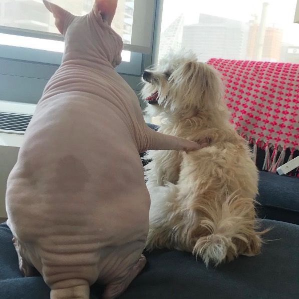 %e5%b1%8f%e5%b9%95%e5%bf%ab%e7%85%a7-2016-11-10-%e4%b8%8b%e5%8d%886-11-53