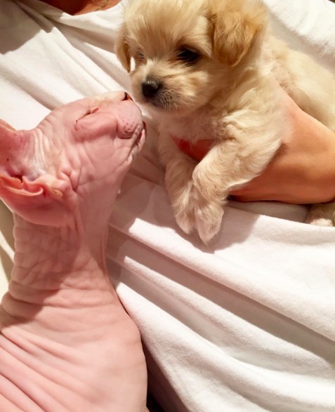 %e5%b1%8f%e5%b9%95%e5%bf%ab%e7%85%a7-2016-11-10-%e4%b8%8b%e5%8d%886-14-14