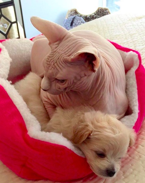 %e5%b1%8f%e5%b9%95%e5%bf%ab%e7%85%a7-2016-11-10-%e4%b8%8b%e5%8d%886-14-28