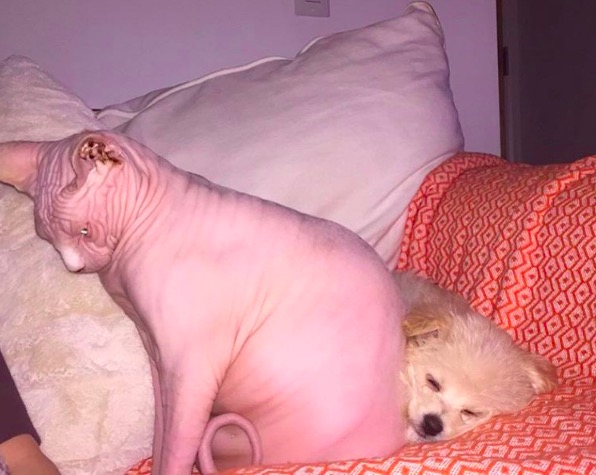 %e5%b1%8f%e5%b9%95%e5%bf%ab%e7%85%a7-2016-11-10-%e4%b8%8b%e5%8d%886-15-24