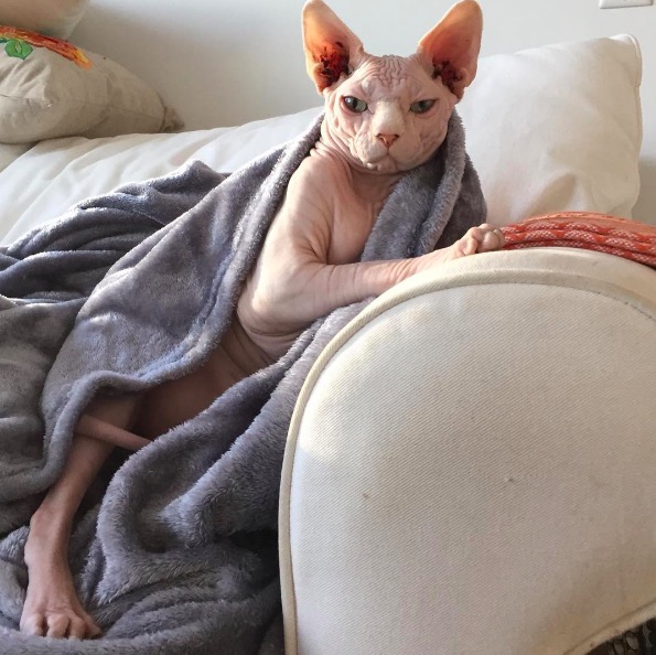 %e5%b1%8f%e5%b9%95%e5%bf%ab%e7%85%a7-2016-11-10-%e4%b8%8b%e5%8d%886-16-03