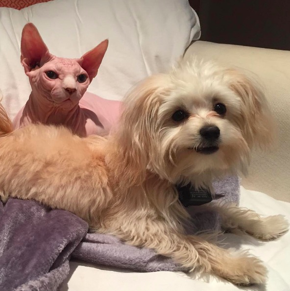 %e5%b1%8f%e5%b9%95%e5%bf%ab%e7%85%a7-2016-11-10-%e4%b8%8b%e5%8d%886-17-49